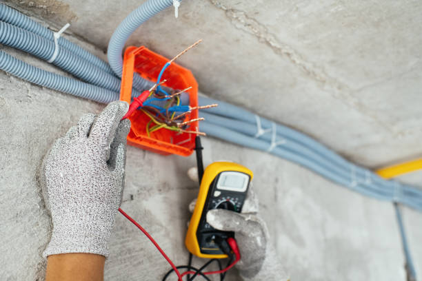 Best Electrical Upgrades for Homes  in Lansing, MI